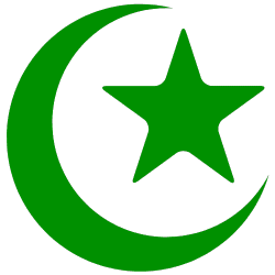 Selected Icon